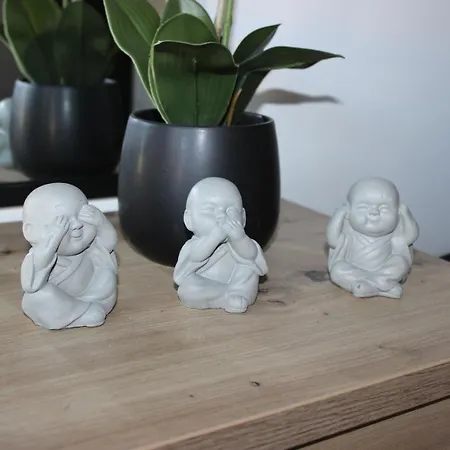 Des Rives Du Vila Montans